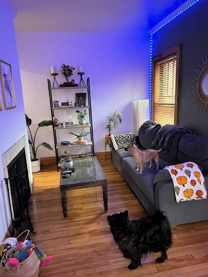220 Marshall Ave Apt 5 - Photo 4 of 25