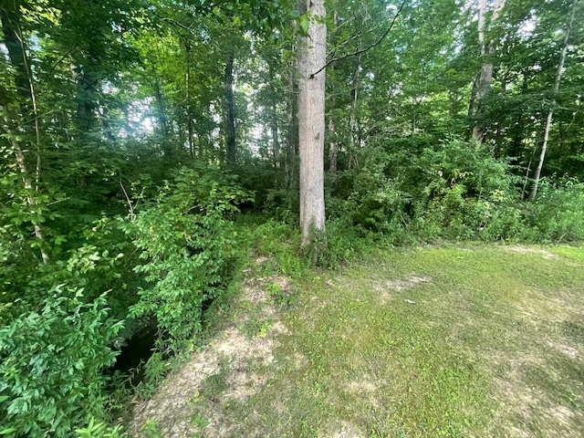 178 Elm St #1 - Photo 2 of 34