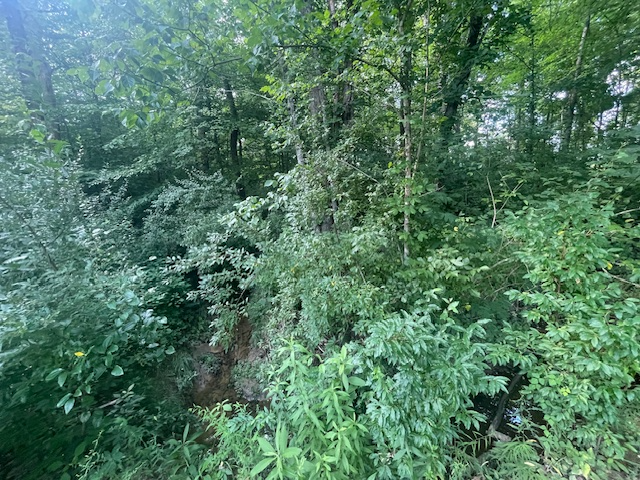 178 Elm St #1 - Photo 3 of 34