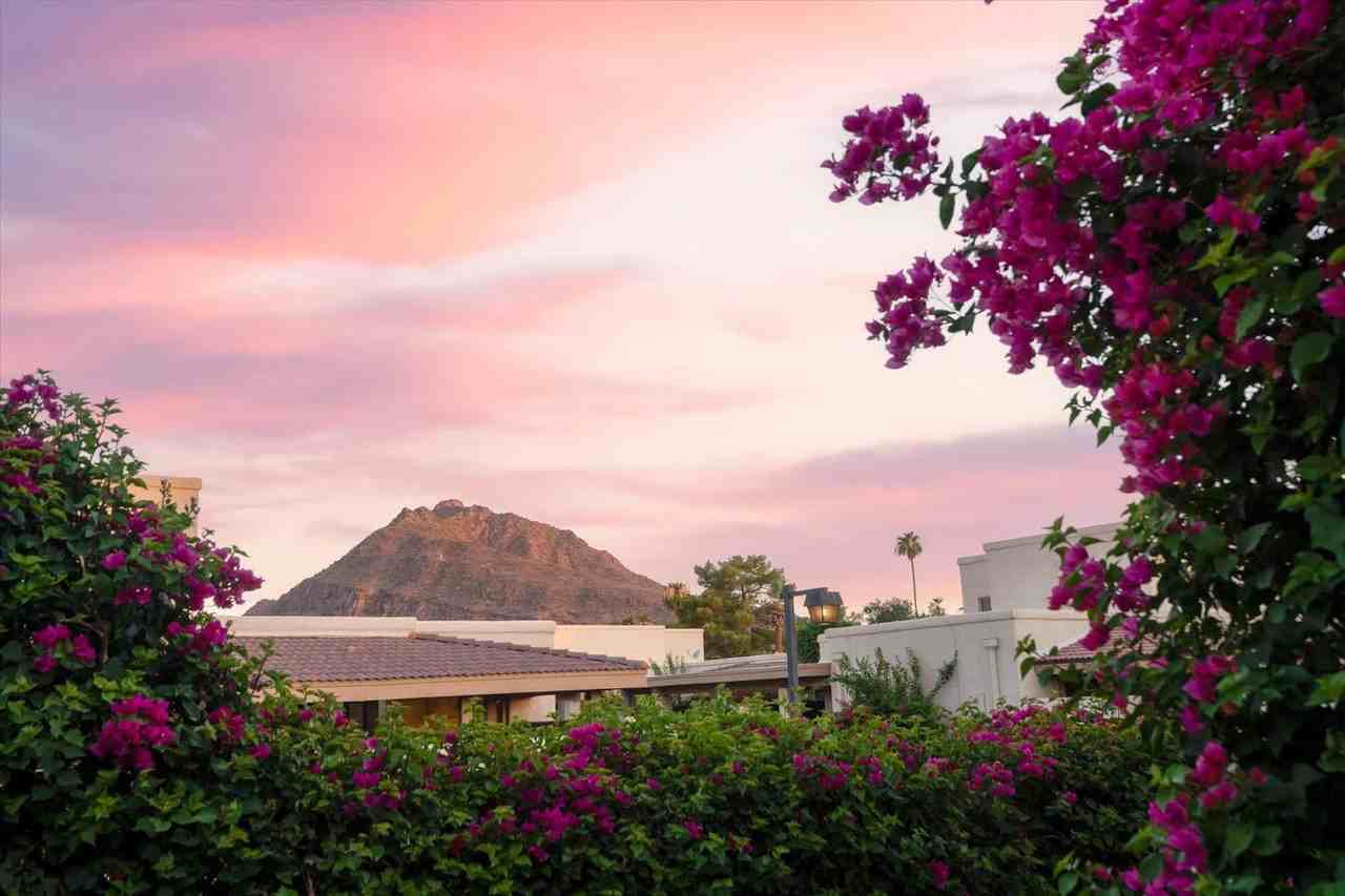 4525 N 66th St #1255299P - Photo 7 of 44