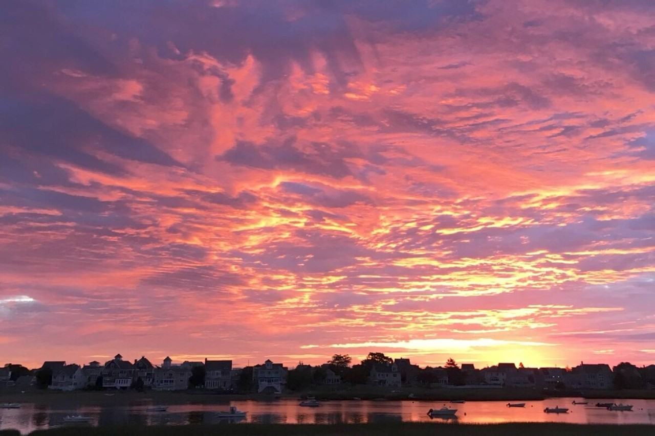 7 O St #1256831P - Photo 6 of 45