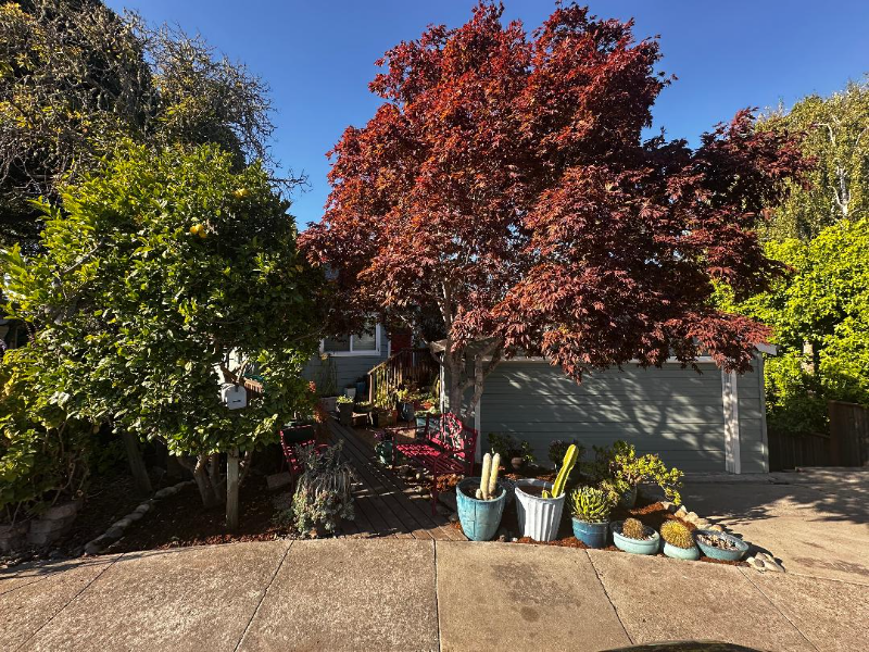 1744 Foster Ct - Photo 5 of 15