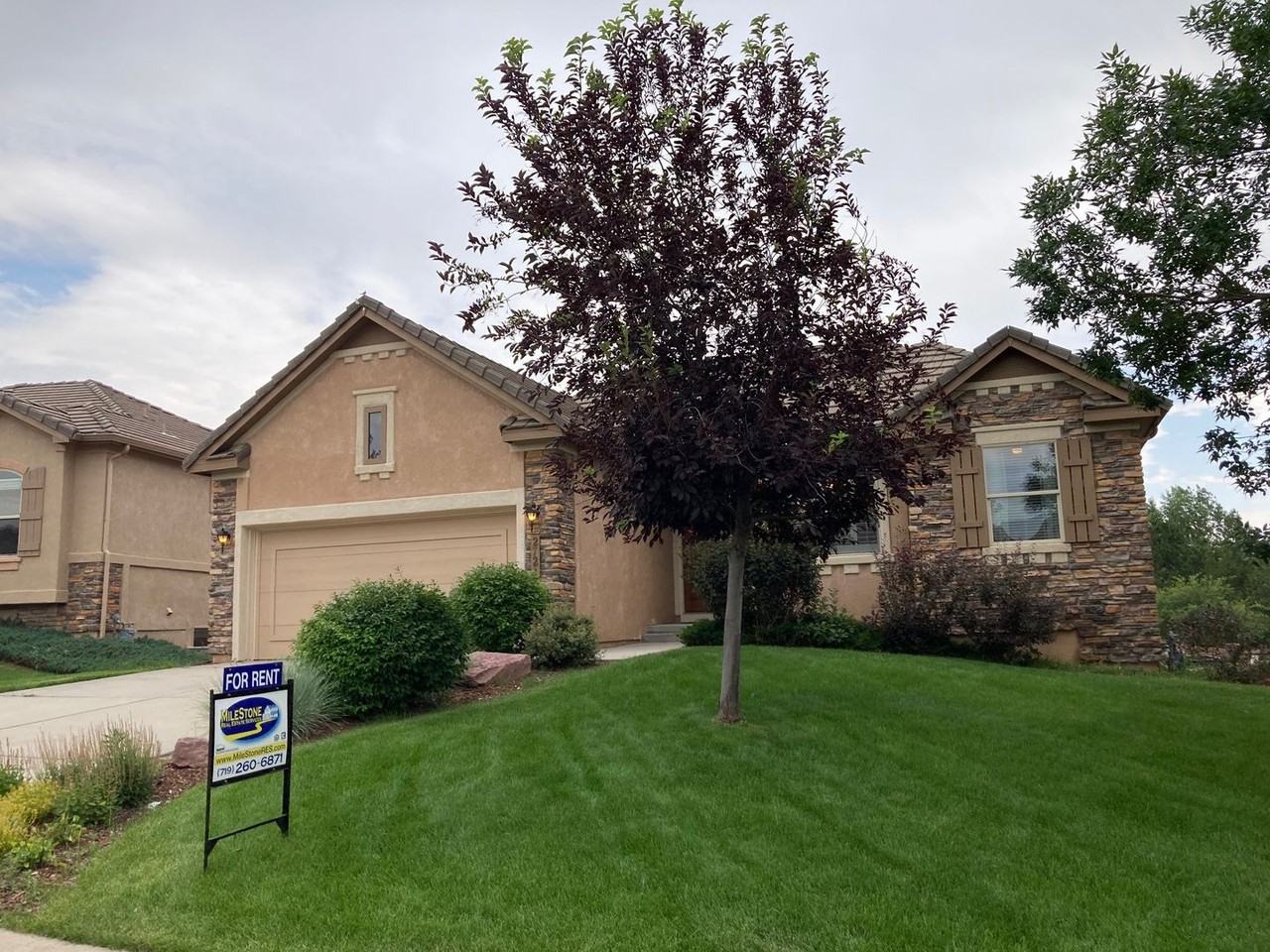 2721 Crooked Vine Ct - Photo 2 of 22