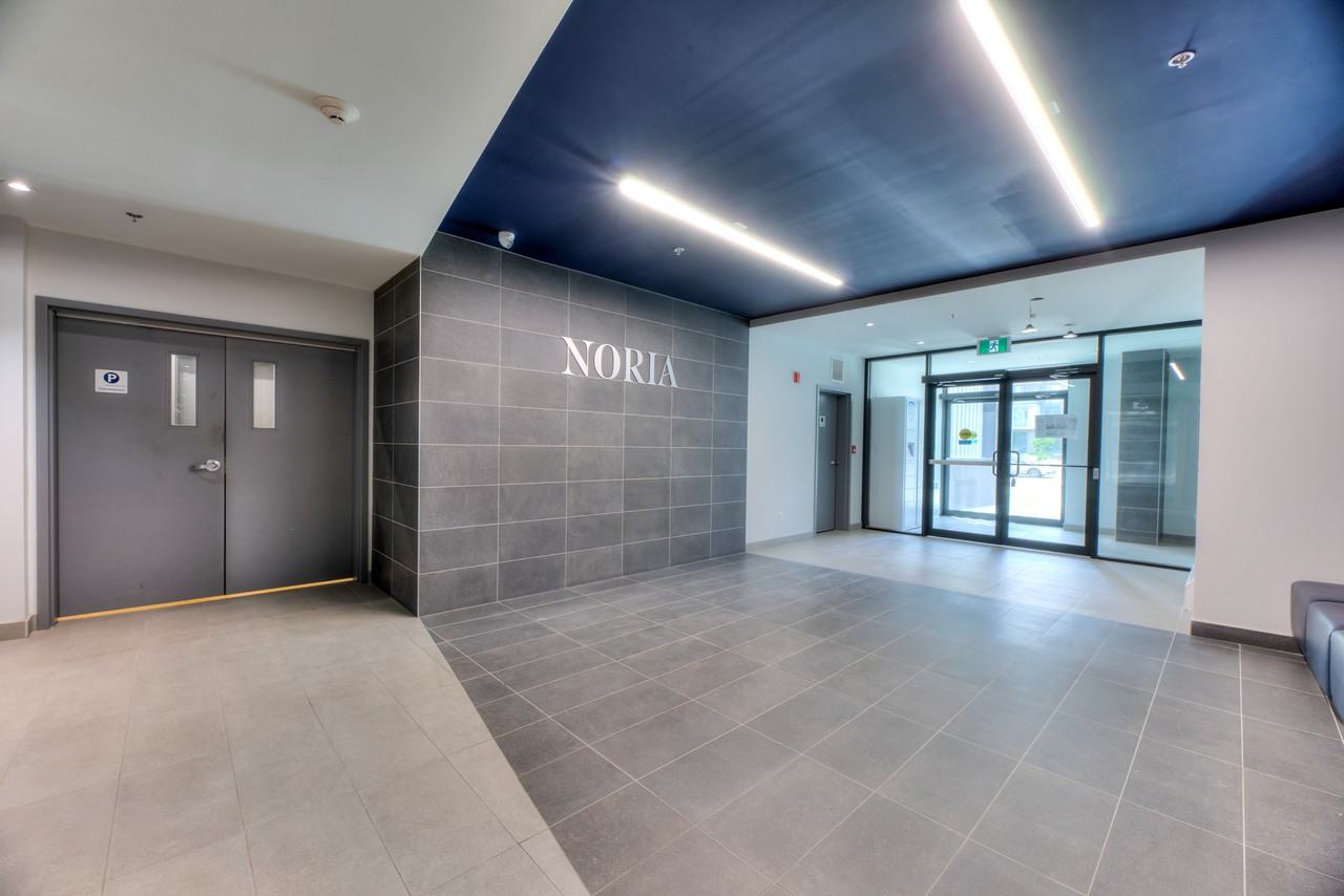Noria - Photo 2 of 50