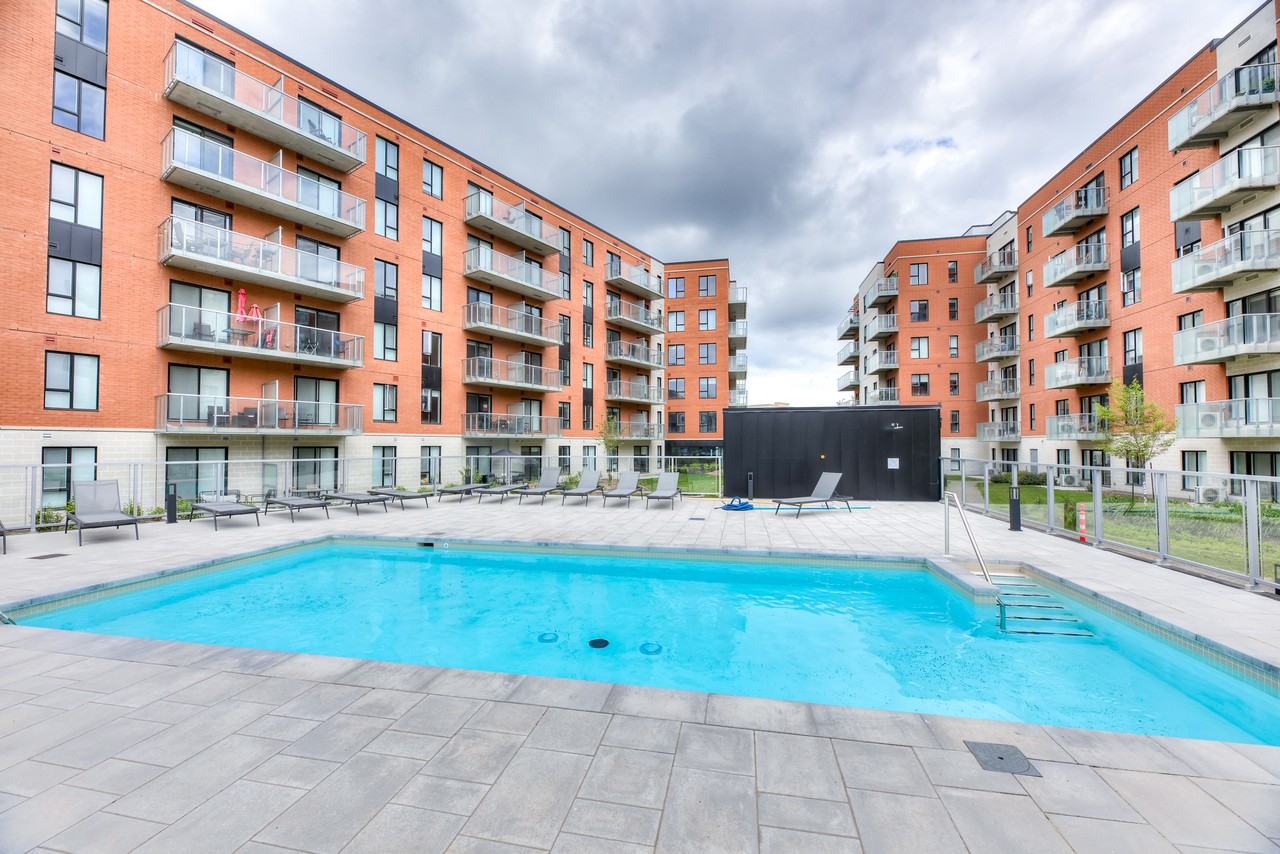 Noria - Photo 3 of 50