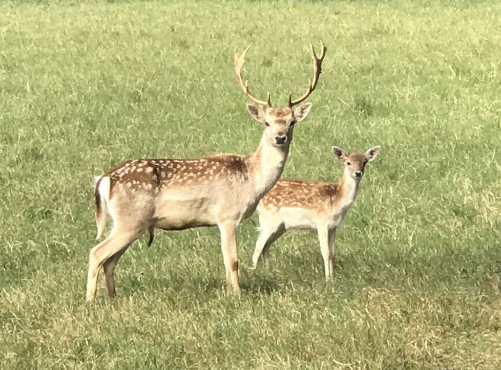 451 Fm 969 #NA - Photo 3 of 29