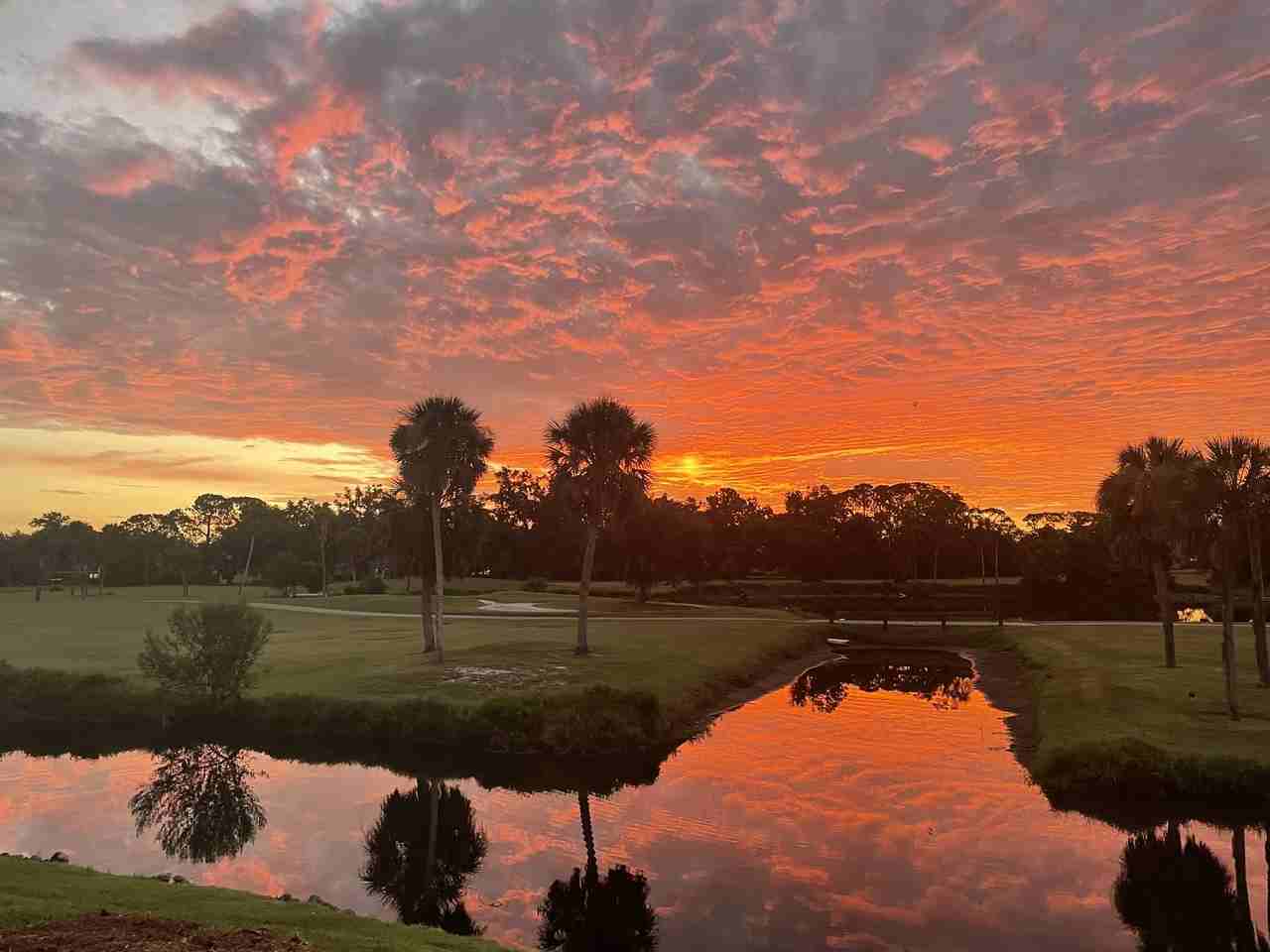 4581 Forest Wood Trl #11 - Photo 2 of 42