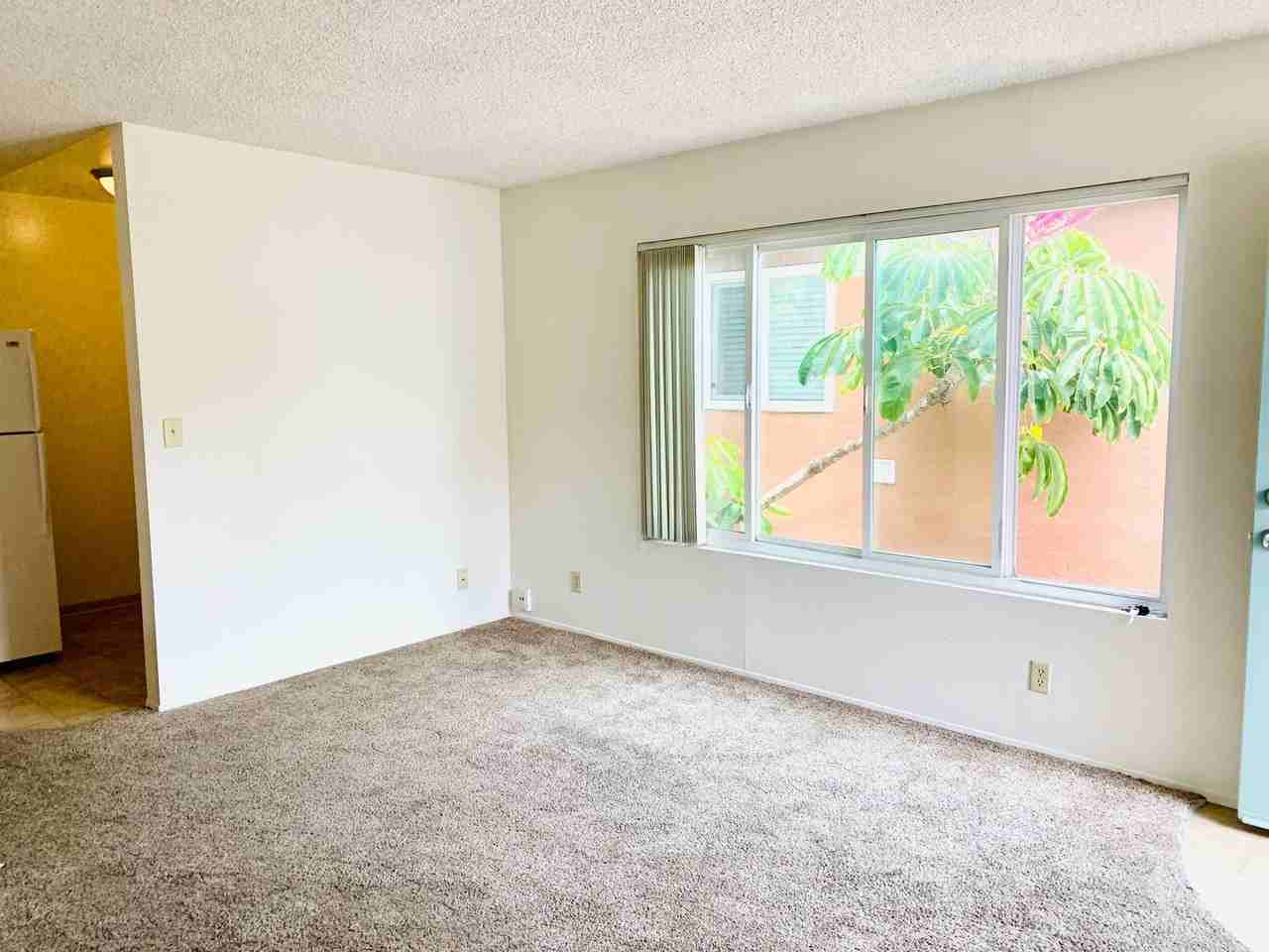 804 Jamaica Ct - Photo 3 of 20
