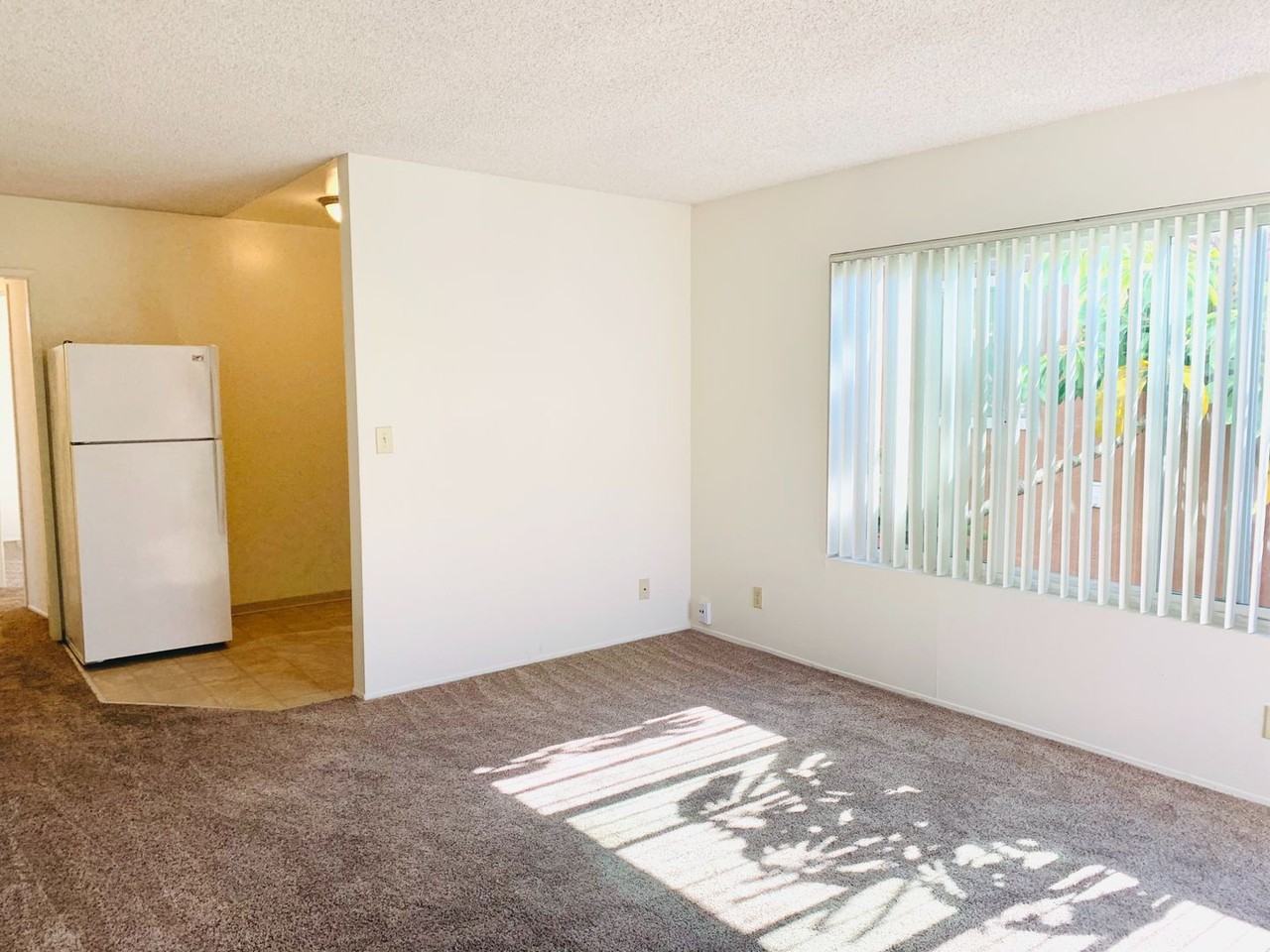 804 Jamaica Ct - Photo 4 of 20