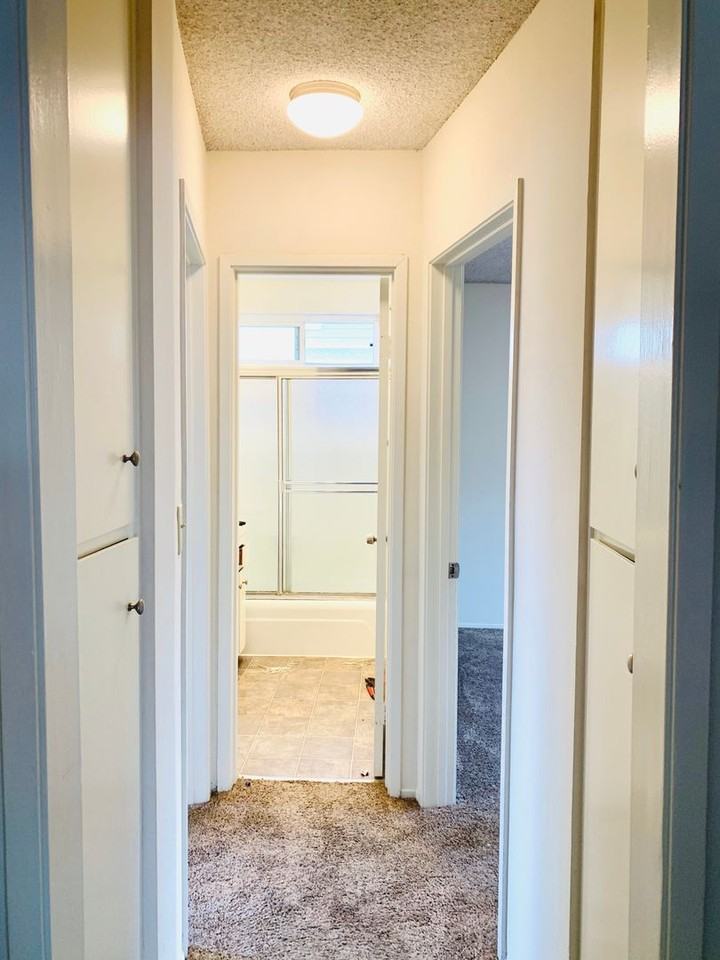 804 Jamaica Ct - Photo 7 of 20