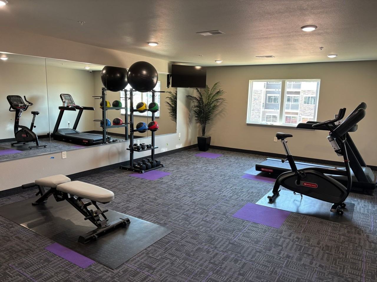 Hickory Grove Apartments (B) - Photo 5 of 10