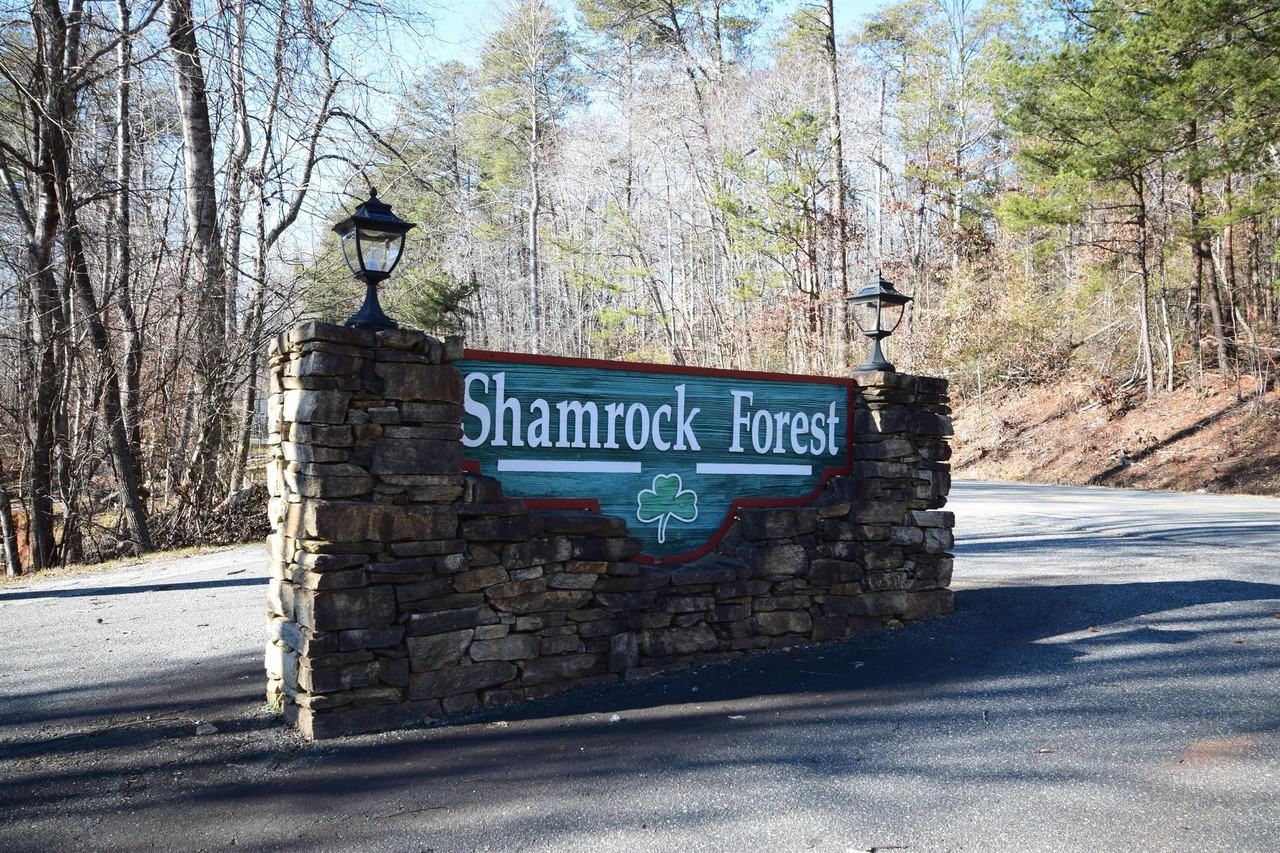 221 Dublin Ln - Photo 2 of 20