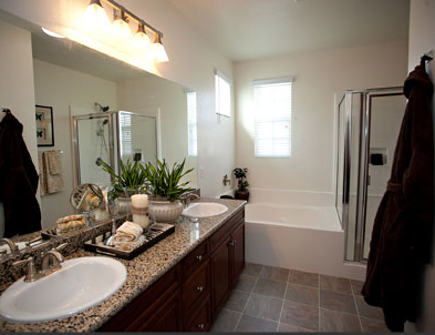 Homecoming at Terra Vista - Photo 4 of 41