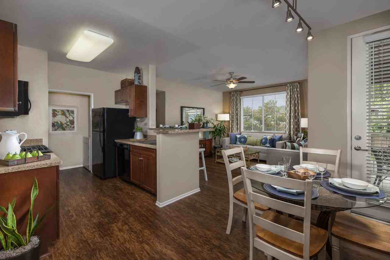 Homecoming at Terra Vista - Photo 5 of 41