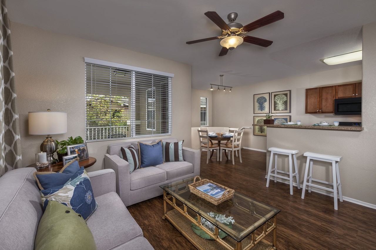 Homecoming at Terra Vista - Photo 6 of 41