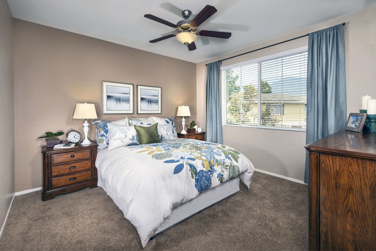 Homecoming at Terra Vista - Photo 7 of 41