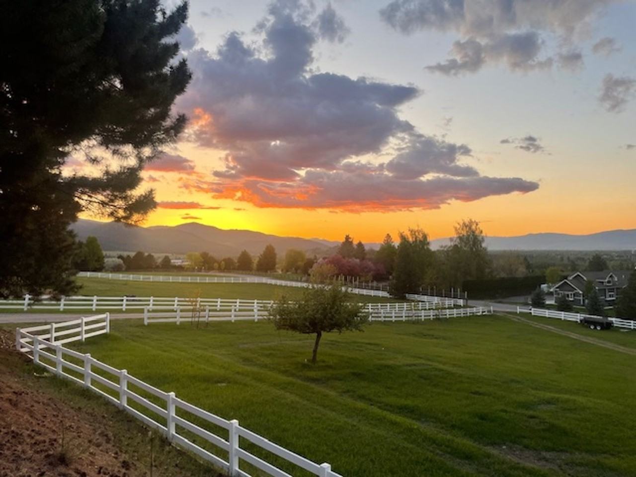 2825 St Michael Dr - Photo 2 of 34