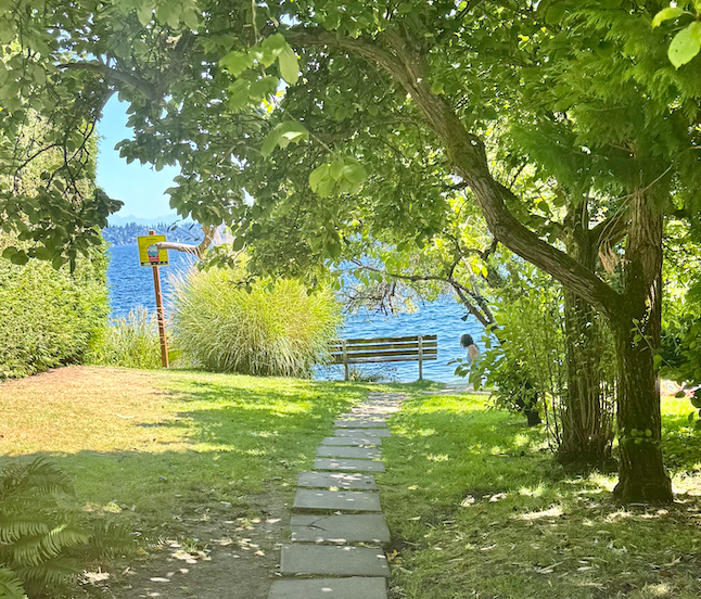 903 Lakeside Avenue South - Photo 2 of 43