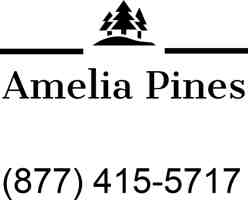 featured image of 78030 Susi Ln