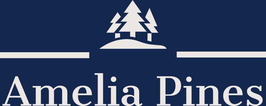 Amelia Pines - Photo 2 of 10