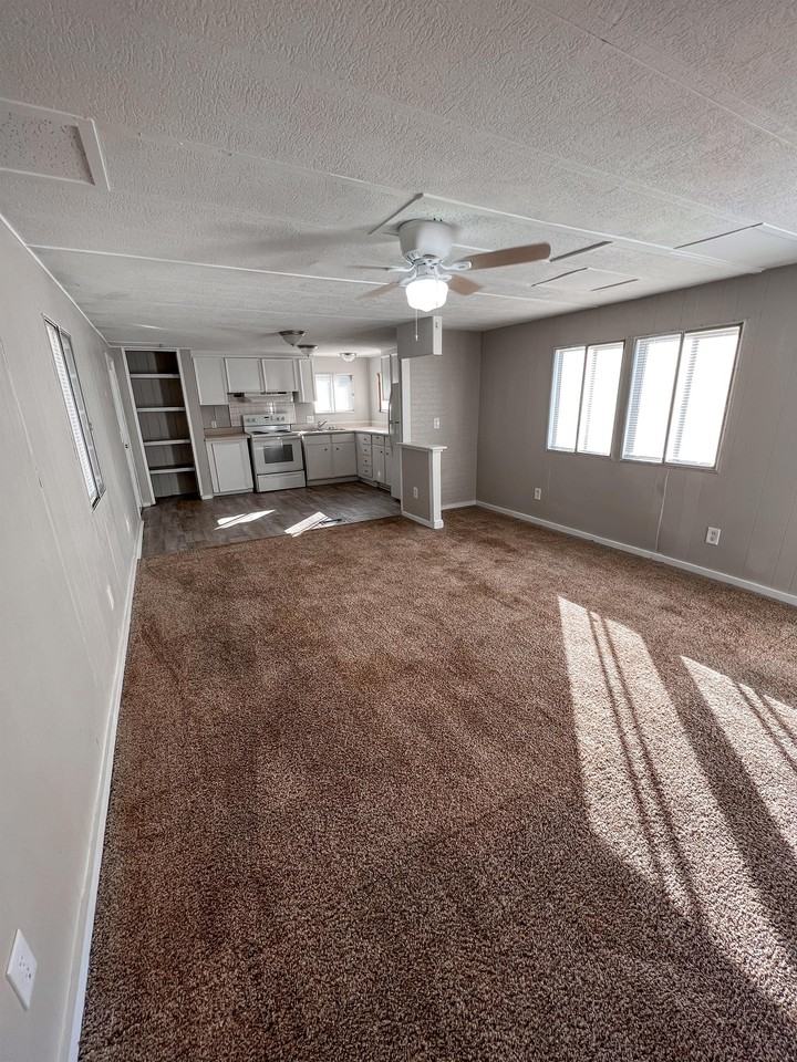 Laurent - Photo 3 of 13