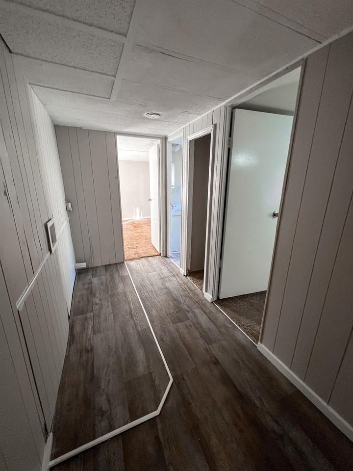 Laurent - Photo 5 of 13