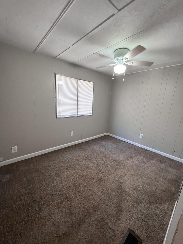 Laurent - Photo 7 of 13