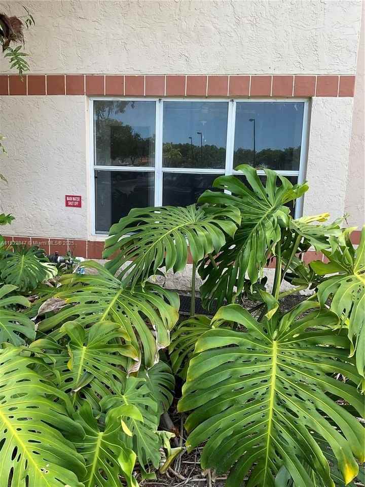 3320 Pinewalk Dr N #1715 - Photo 7 of 35