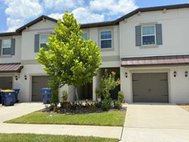 featured image of 10443 Lavender Aster Trl