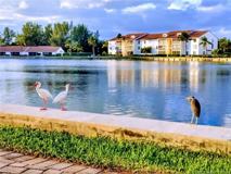 4436 Ne Ocean Blvd Unit 100e2 #100E2 - Photo 1 of 1