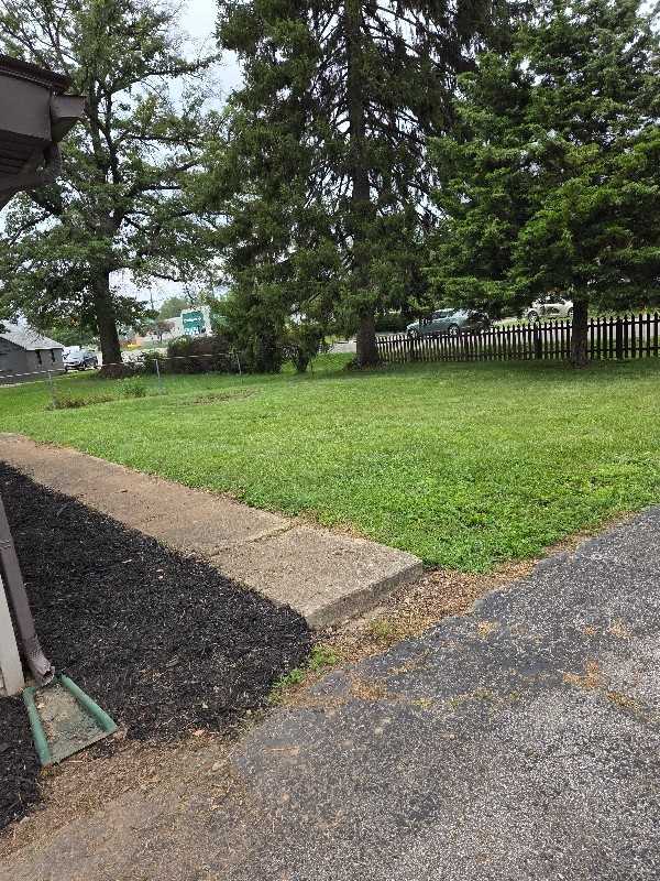 1955 Hopkins Ave - Photo 4 of 50