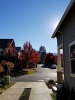 featured image of 289 Rockfellow Pl #NA