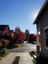 289 Rockfellow Pl #NA - Photo 1 of 1