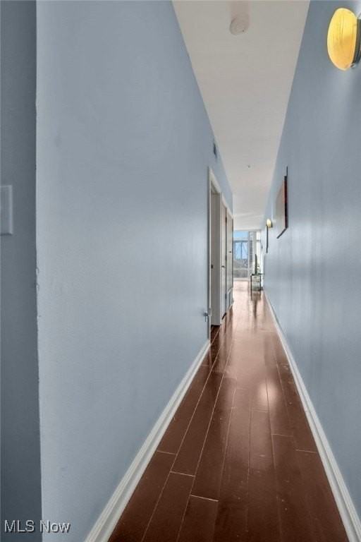 1237 Washington Ave Apt 512 #512 - Photo 4 of 21