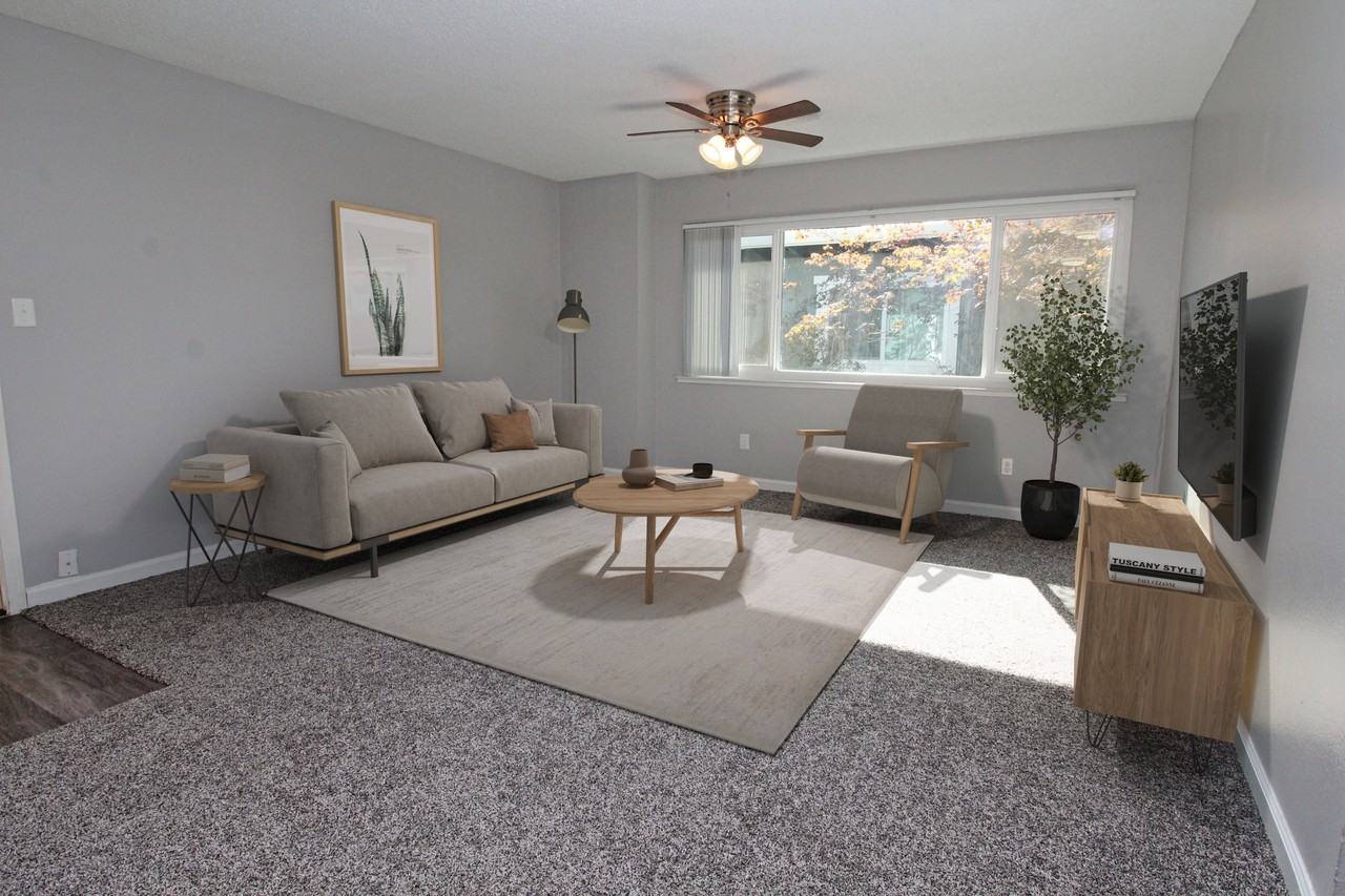 The Canopy - Photo 2 of 36