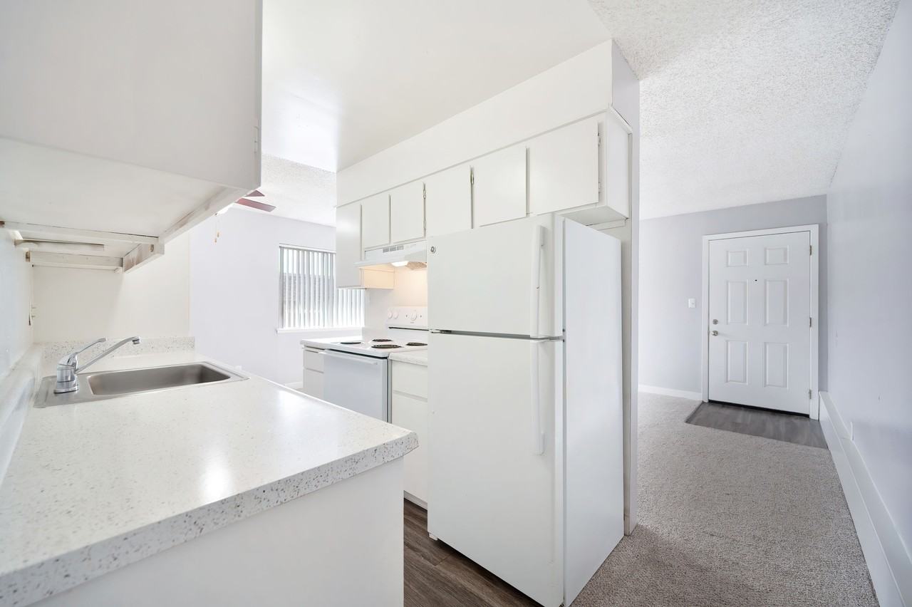 The Canopy - Photo 4 of 36