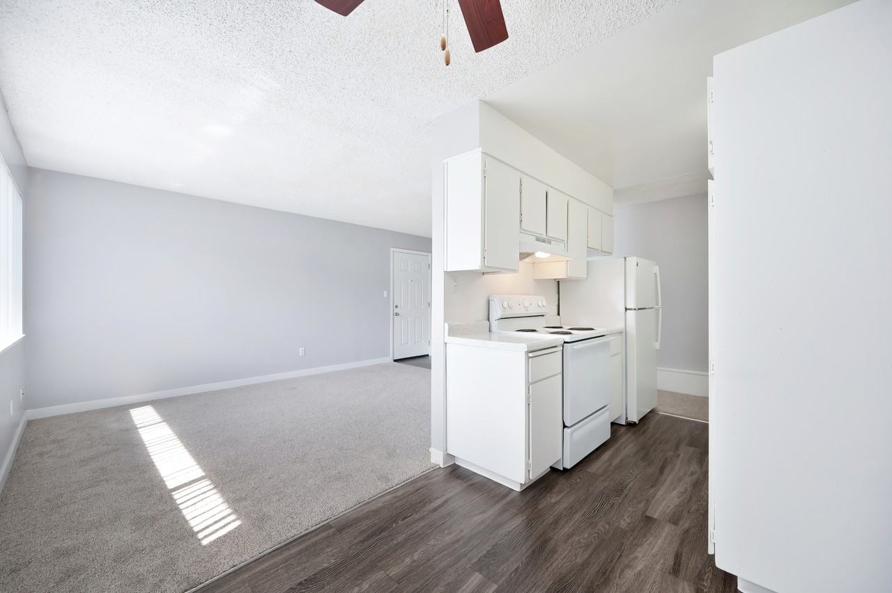 The Canopy - Photo 5 of 36