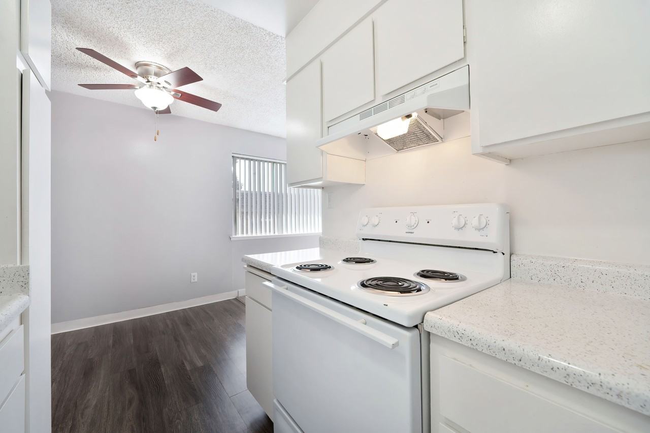 The Canopy - Photo 6 of 36