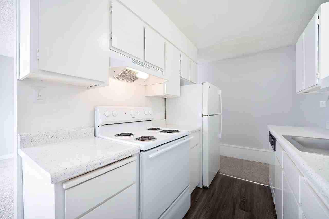 The Canopy - Photo 7 of 36