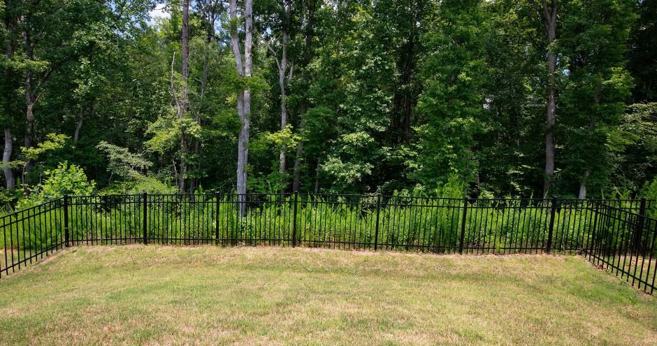 Chatteron Springs - Photo 5 of 25