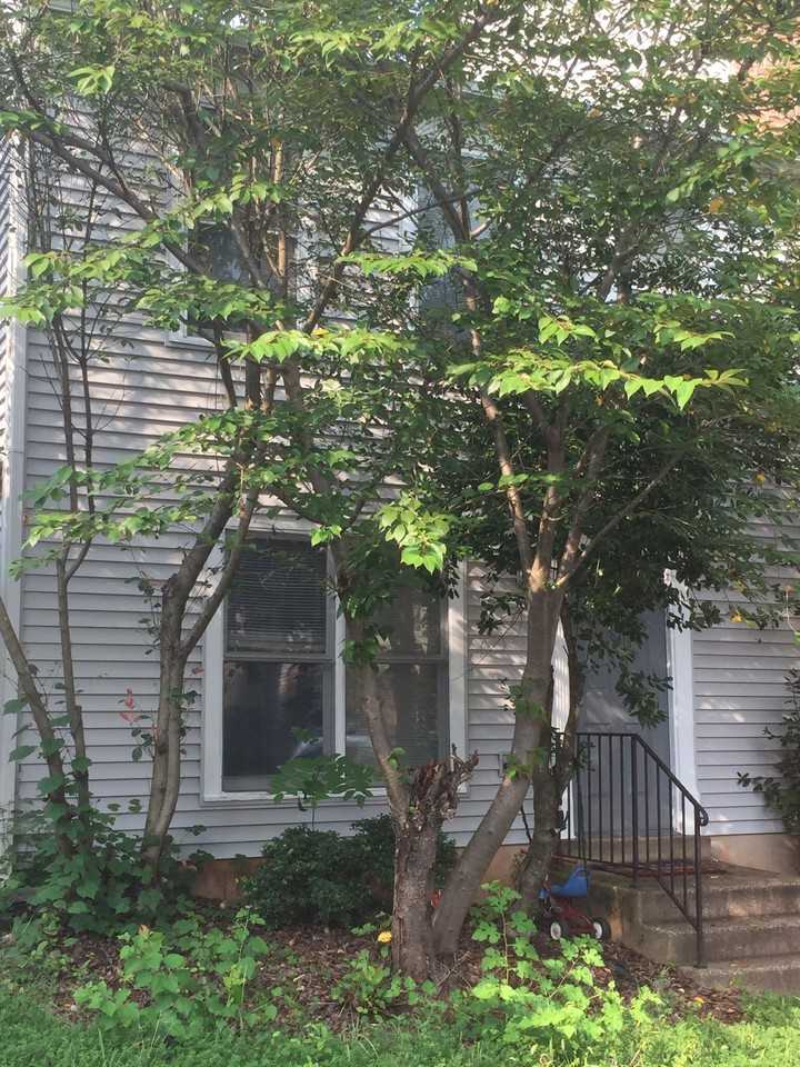 10398 Rapidan Ln - Photo 2 of 3