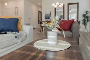 featured image of 1921 Dragonfly Loop #NA