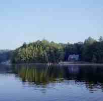 featured image of 146 Wellington Rd #NA