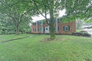 featured image of 50 Orchard St