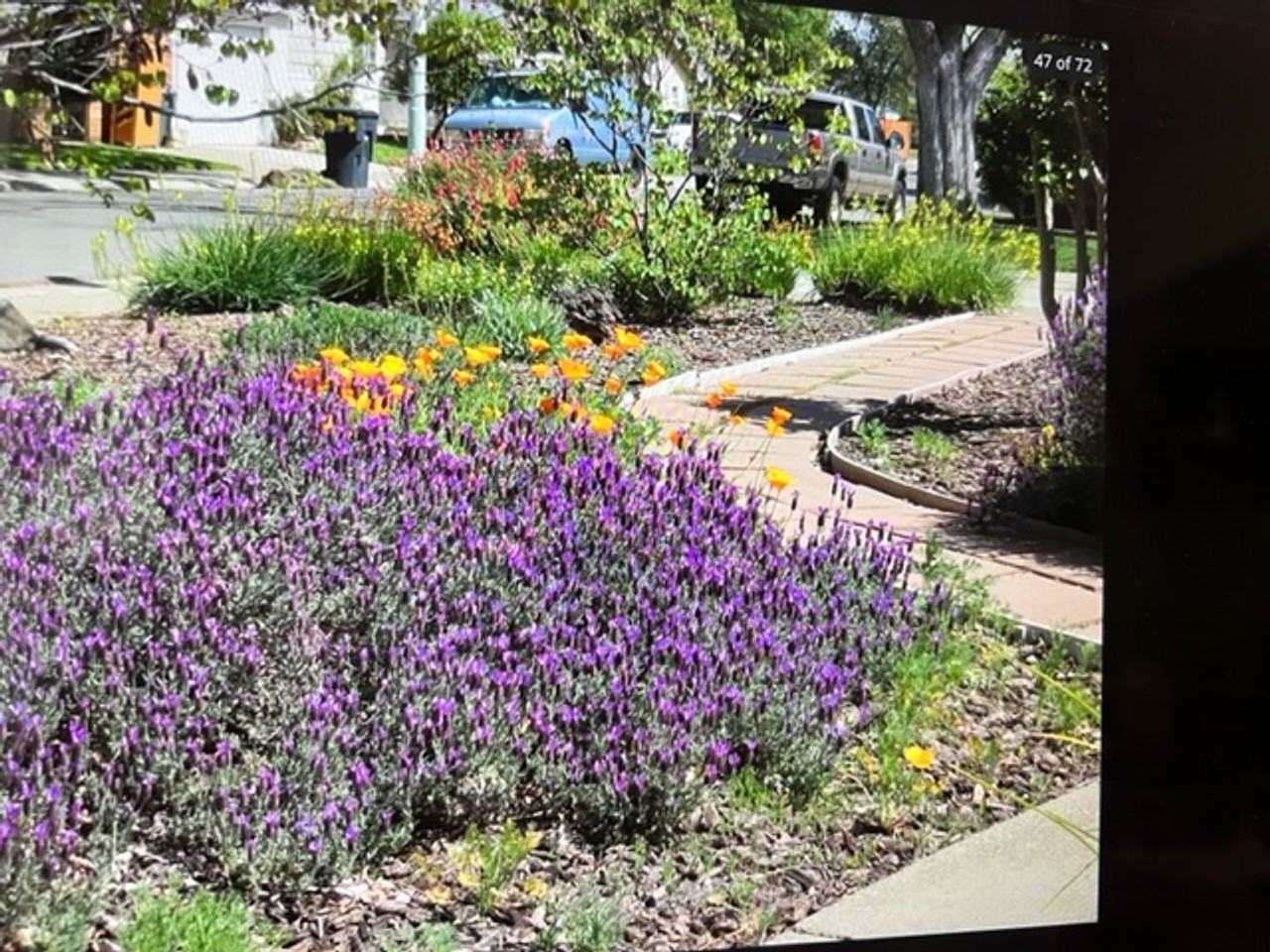 5724 7th Ave - Photo 2 of 27