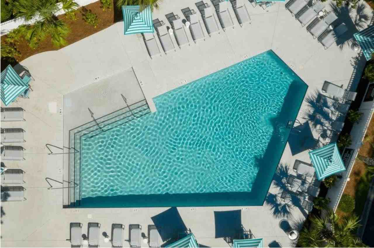 The Lily At West Ashley - Photo 3 of 22