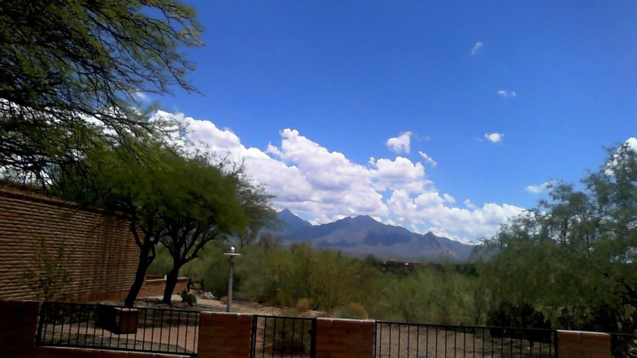 1173 W Vuelta Del Yaba - Photo 5 of 18