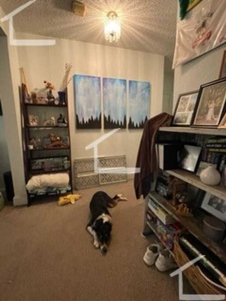 118 Strathmore Rd - Photo 4 of 15