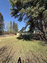 121 Dunbar Ave - Photo 1 of 1