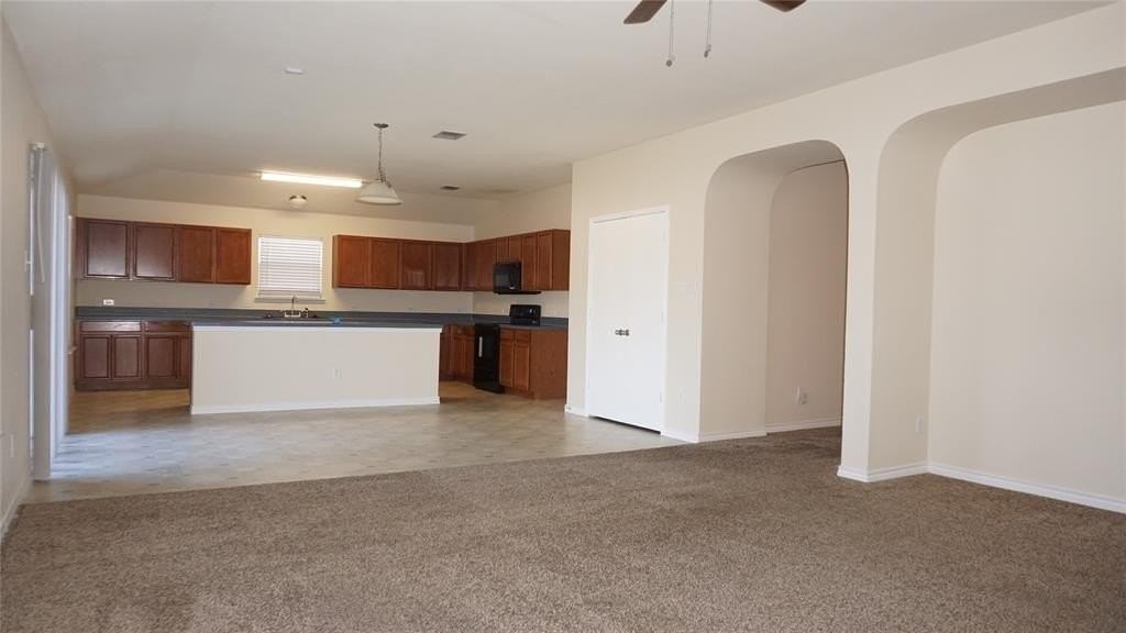 809 Bee Creek Lane - Photo 4 of 16